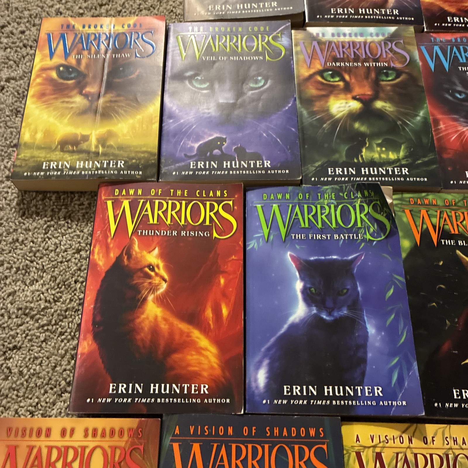 Lot of 21 Different WARRIORS Books by Erin Hunter ALL PAPERBACKS