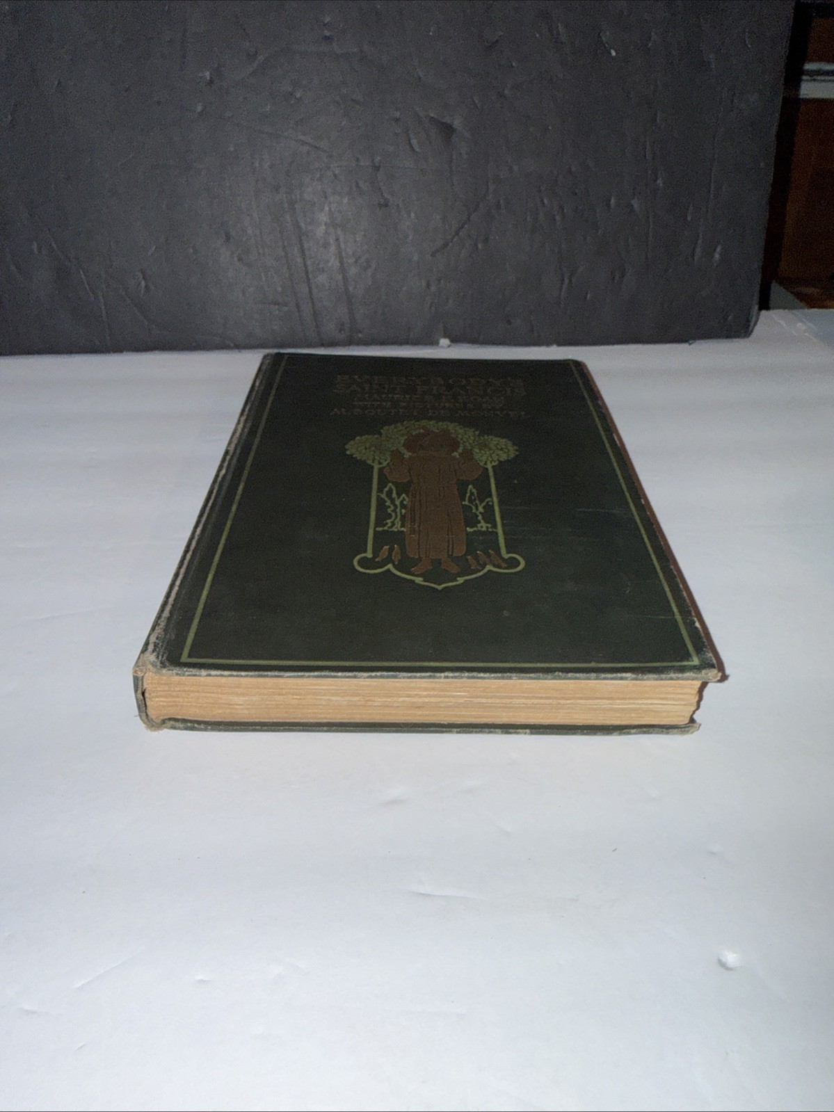Vintage 1912 Everybody’s St. Francis Illustrated Hardcover Maurice F. Egan USA