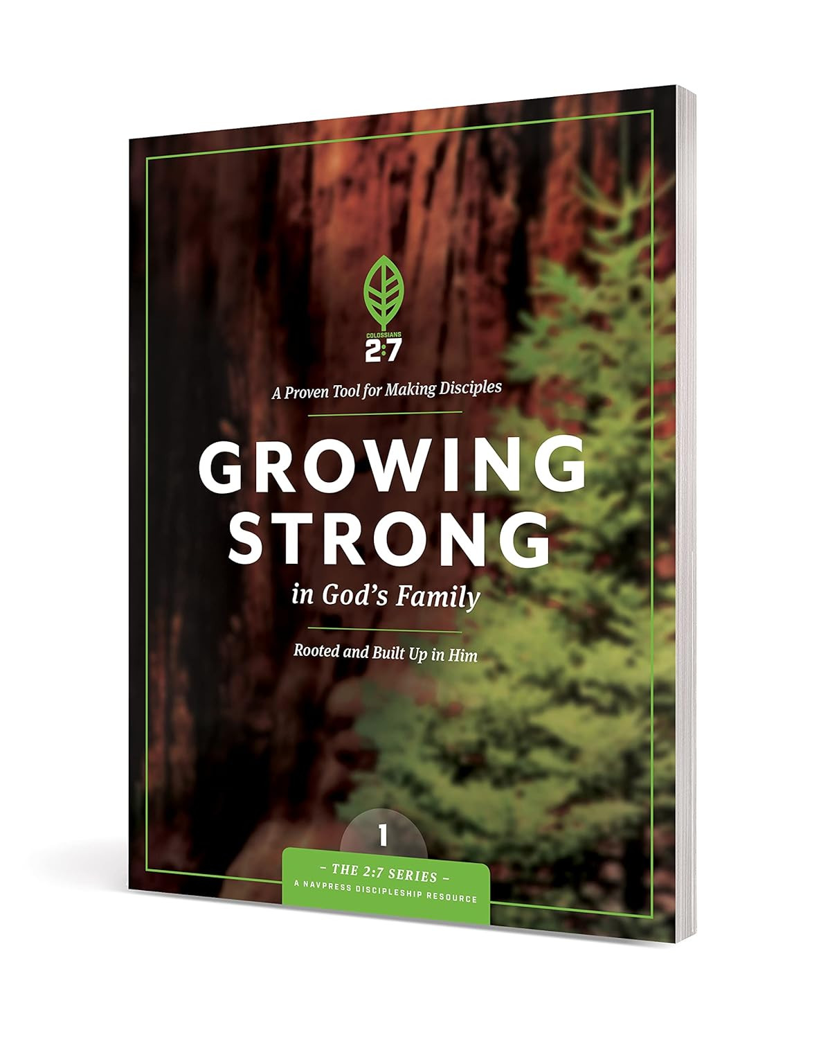 Strengthen Your Faith: Rooted in God’s Family (The 2:7 Series)