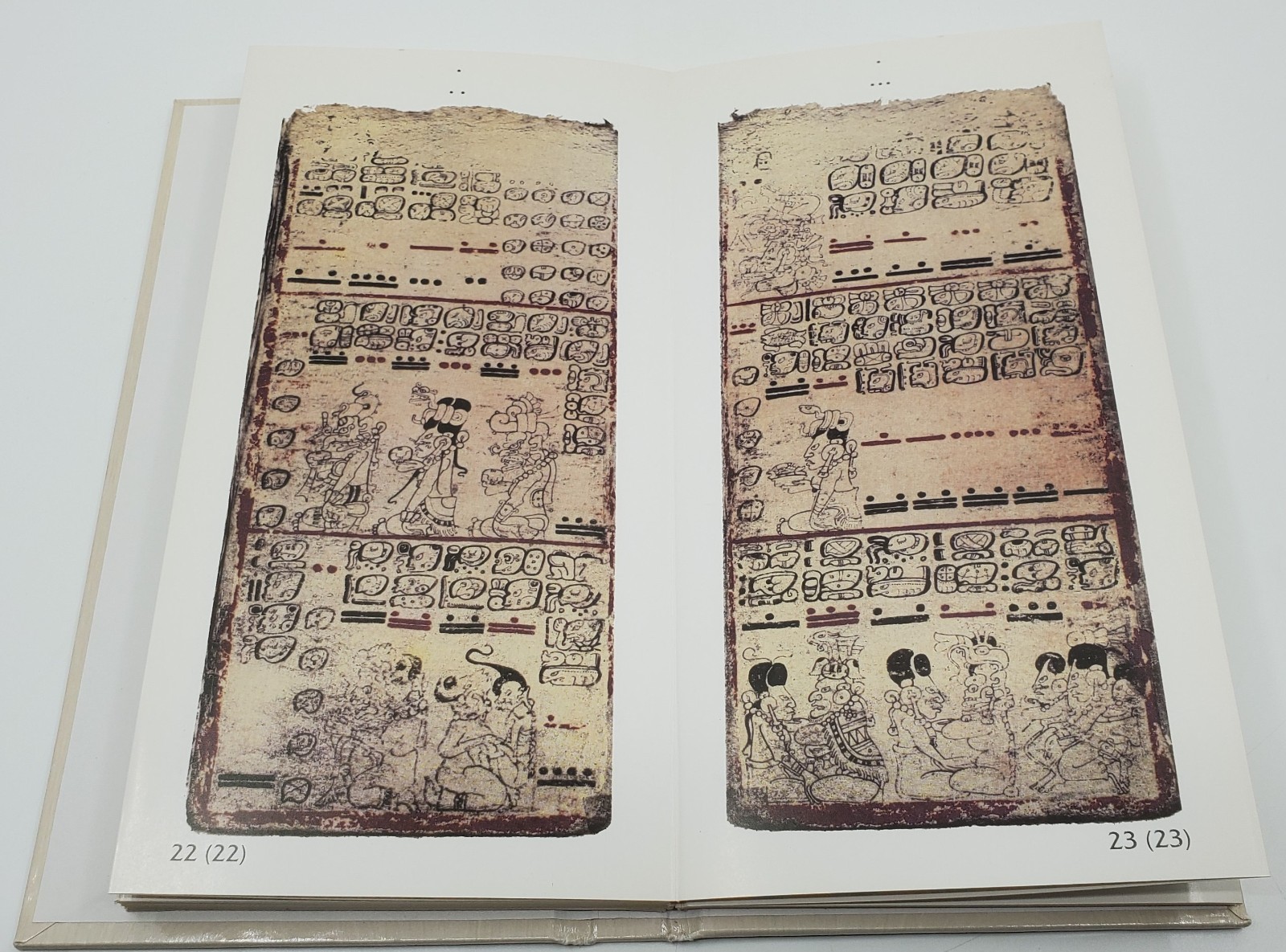 Kumatzim Wuj Jun Codice de Dresde 1998 Edition Maya Cholsamaj