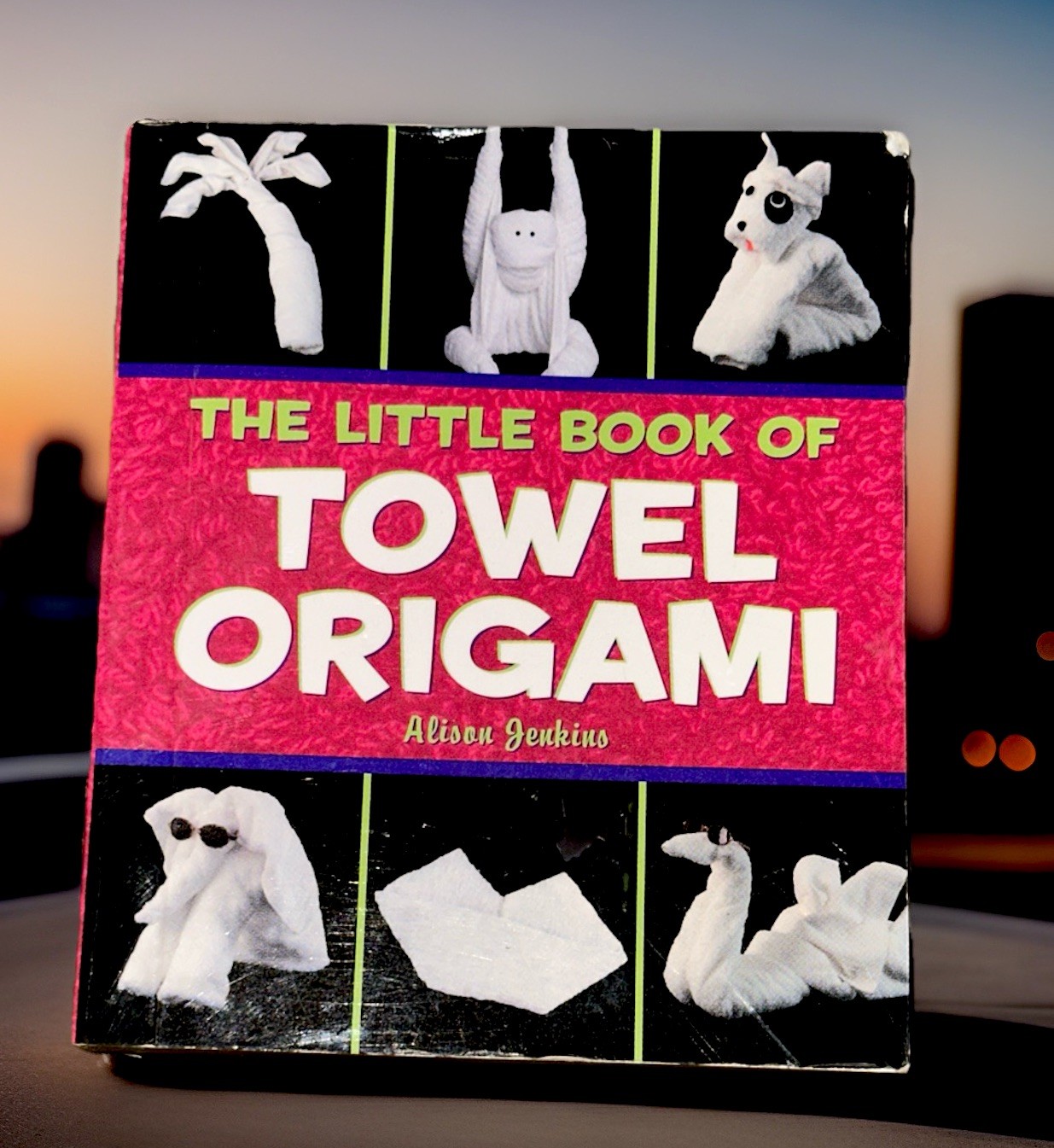 THE LITTLE BOOK OF TOWEL ORIGAMI By Alison Jenkins *Excellent Condition*