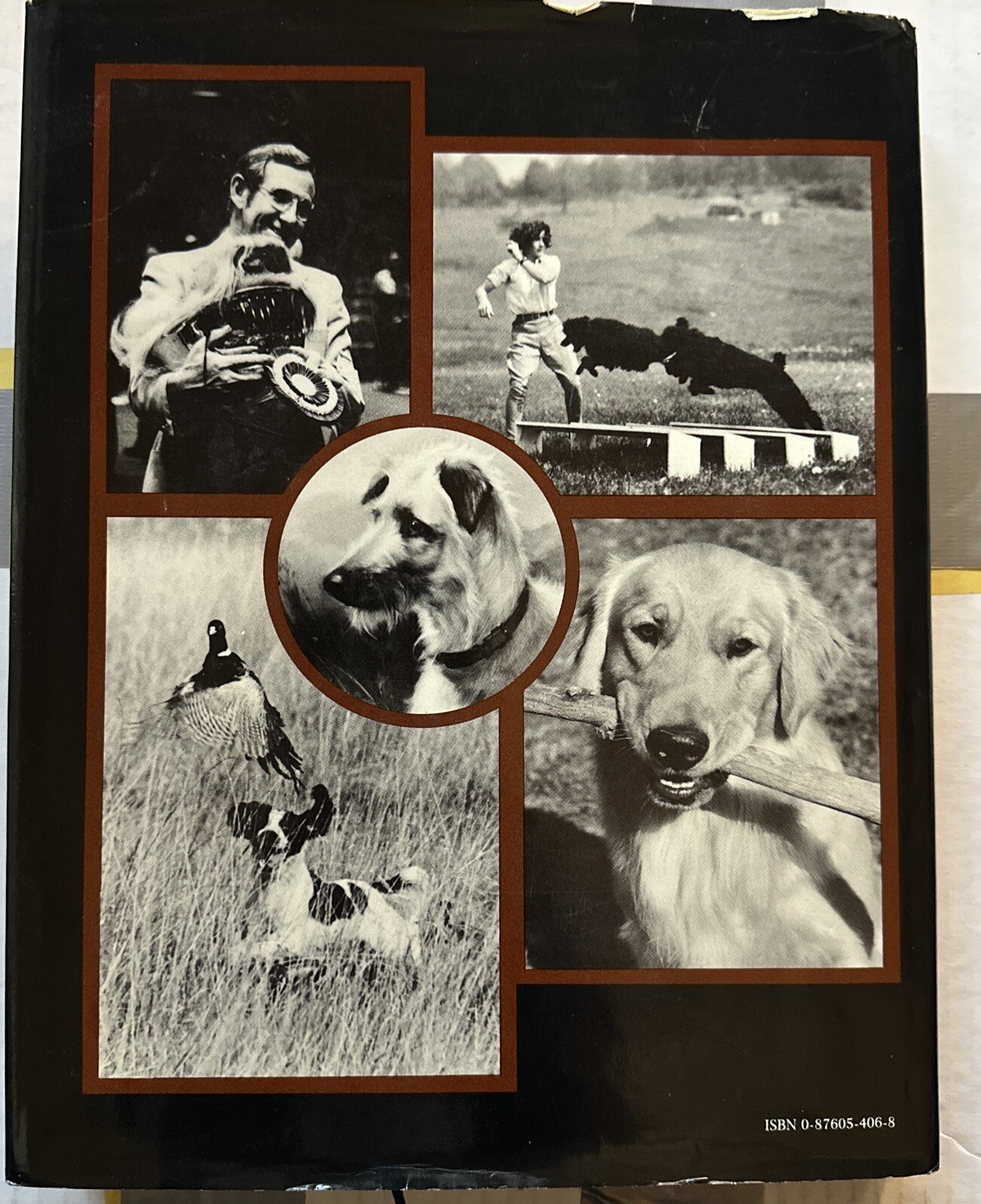 The Akc’s World Of The Purebred Dog Hardcover 1983. 344 Pages