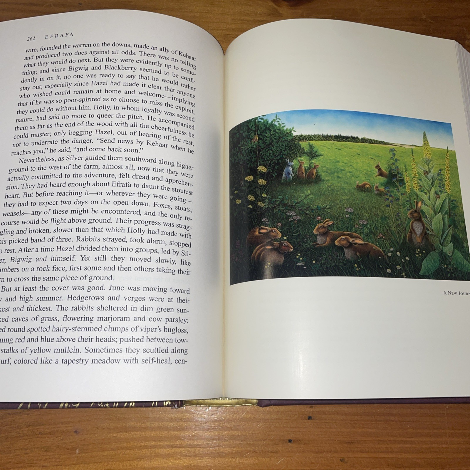 WATERSHIP DOWN Richard Adams & Aldo Galli 2012 Atheneum HB