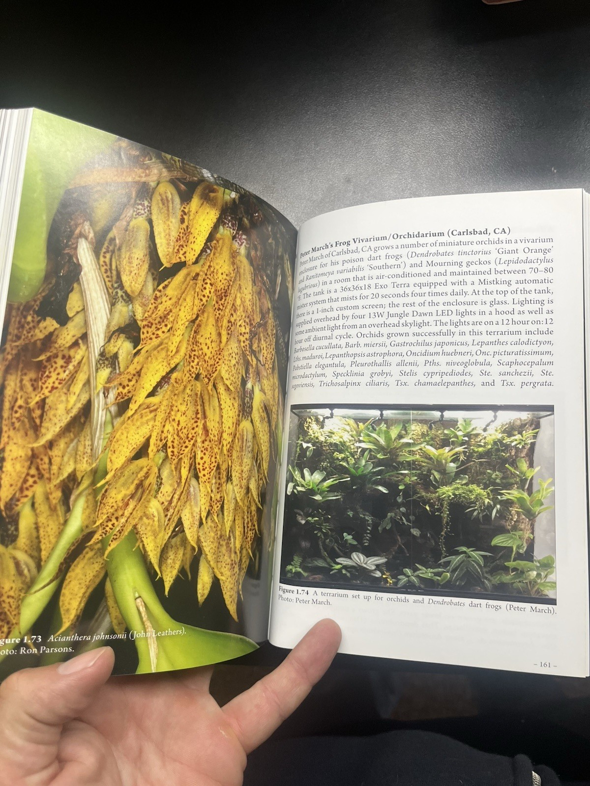 The American Orchid Society Guide to Orchids and Their Culture (2019, PB, VG)
