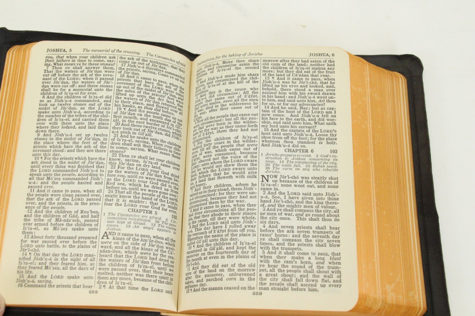 Vintage Holy Bible Self-Pronouncing KJV National Bible Press 119 Leather