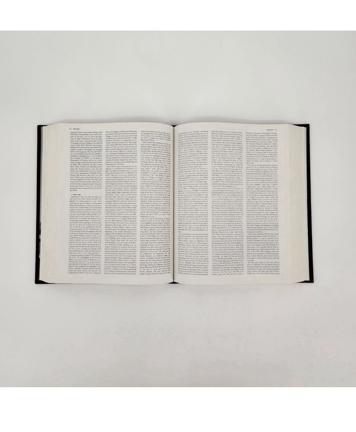 The Encyclopedia of New York City Book