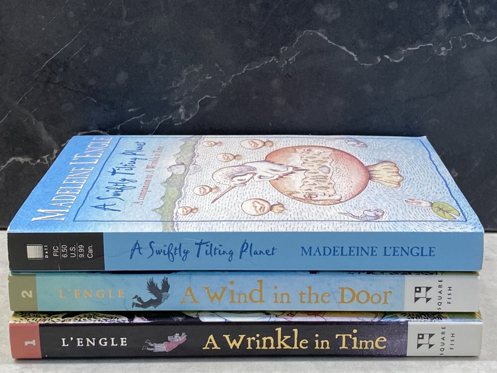 3 bk Lot, Madeleine L’Engle A Wrinkle in Time, Wind in the Door, Swiftly Tilting