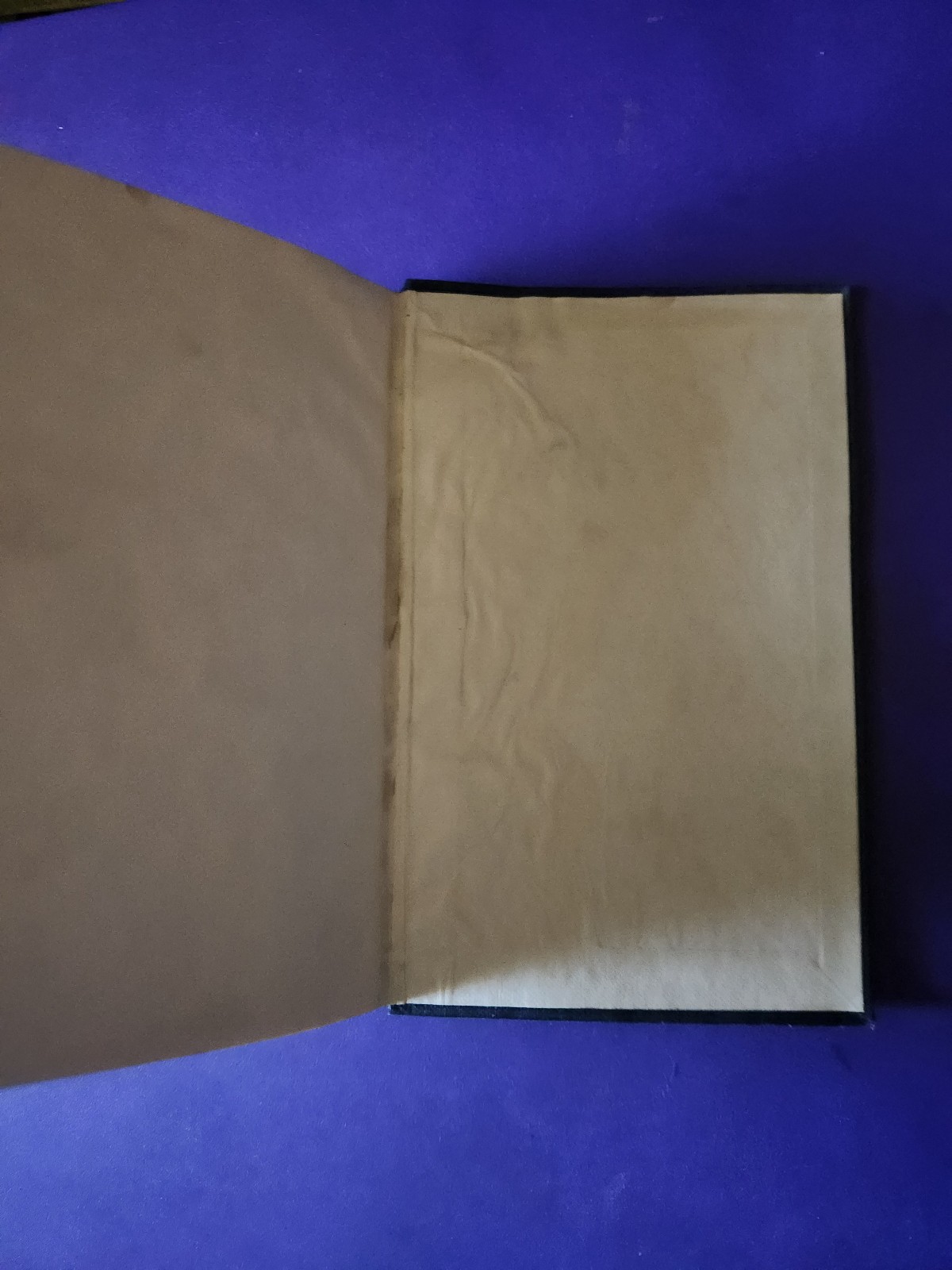 The Sikhs and their Scriptures – Loehlin