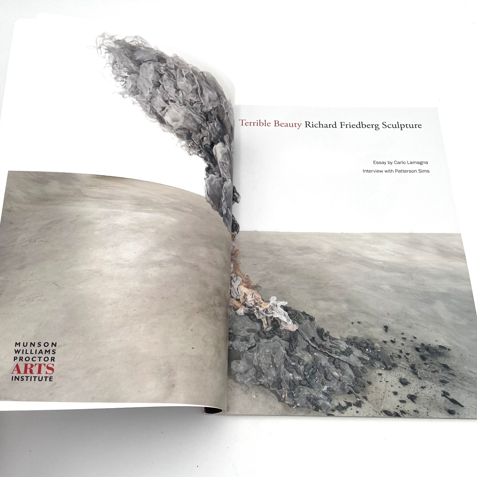 Richard Friedberg Sculpture Catalogue – Terrible Beauty 2021 Art Exhibition PB