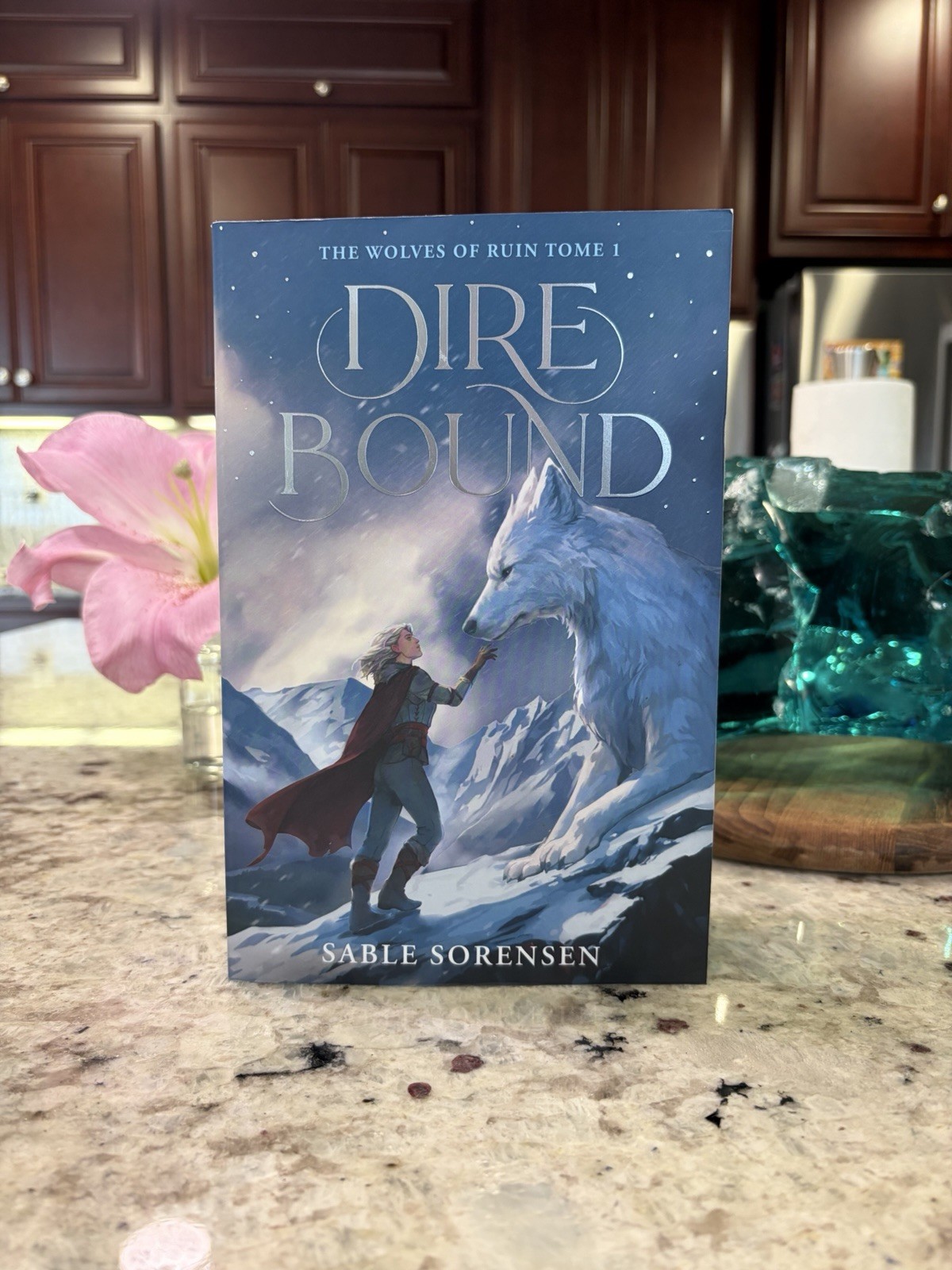 Dire Bound (Deluxe Limited Edition) by Sable Sorensen (2026, Paperback)