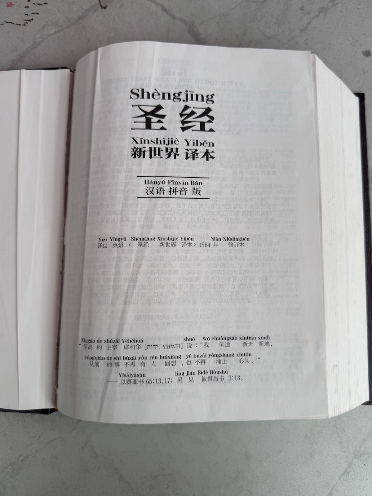 New World Translation Holy Scriptures Chinese Simplified (PINYIN) Watch Tower