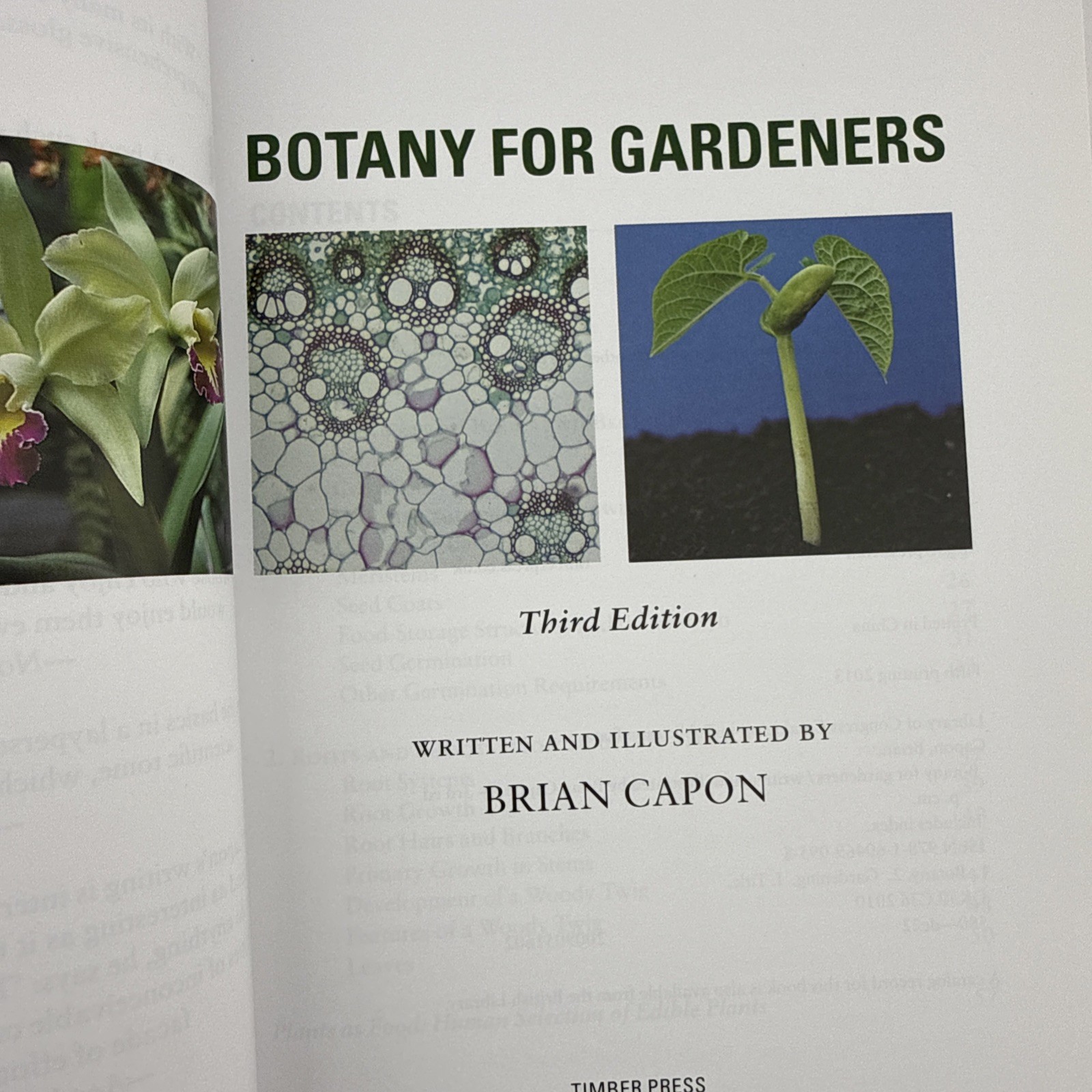 Botany for Gardeners 3rd Edition Brian Capon Paperback 2010