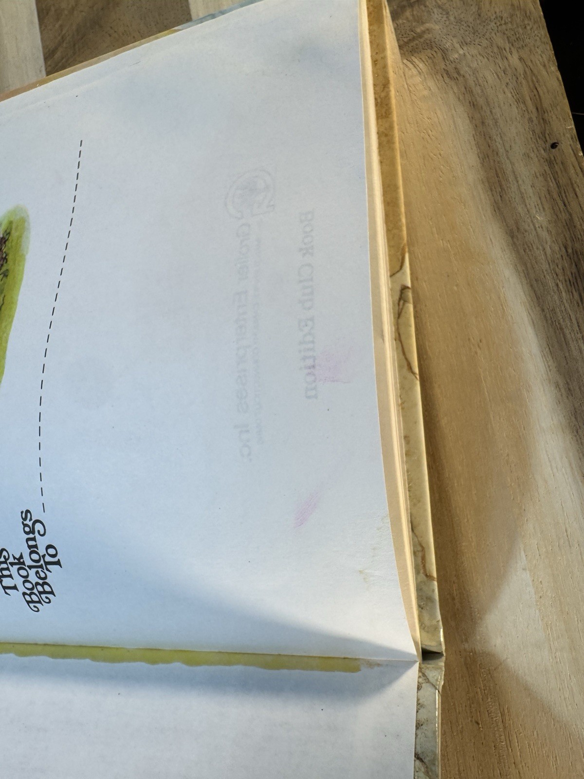 ✅An Alice in Bibleland Storybook by Alice Joyce Davidson Gift ✅Lot of 4 ✅ EUC