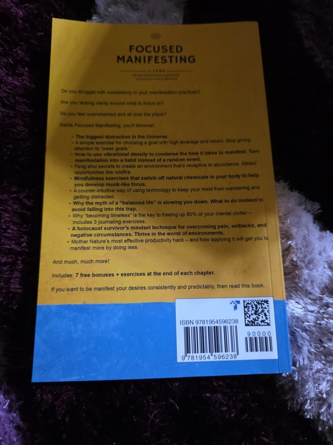 Focused Manifesting: 11 Laws of Manifestation to Master Your Mind and Attention