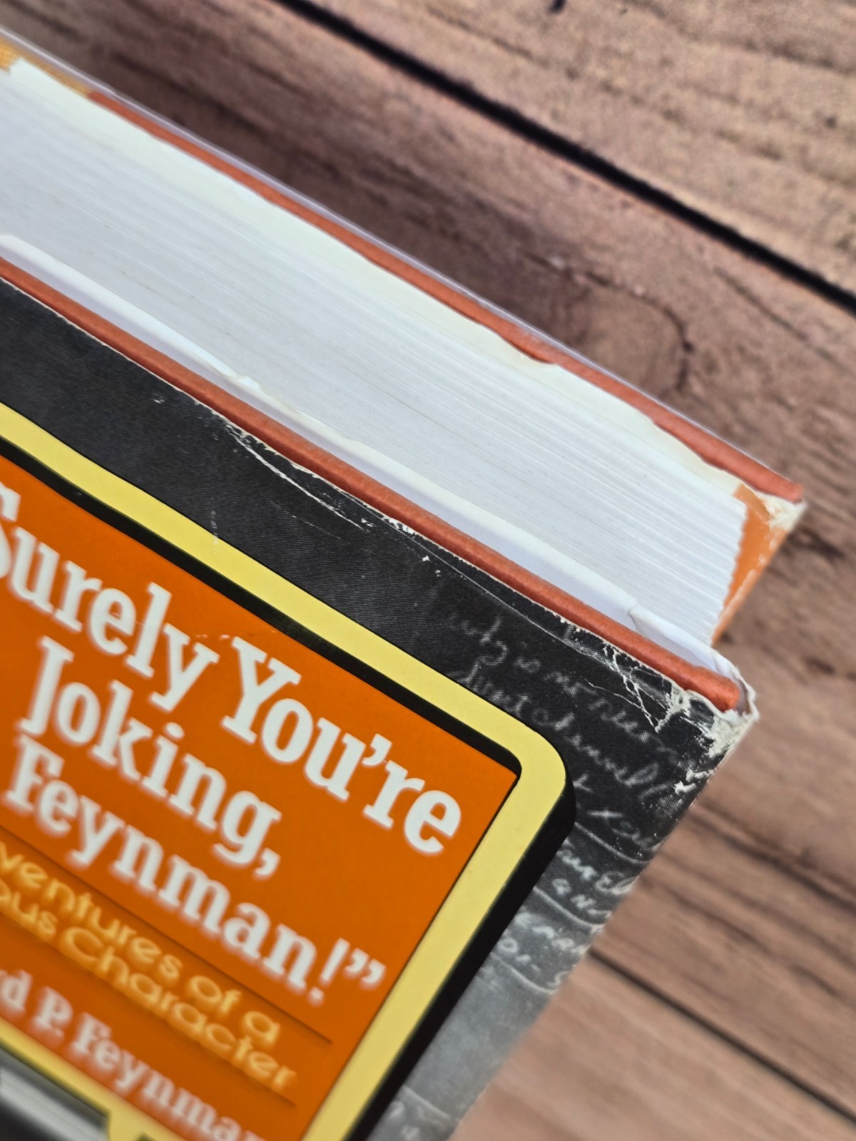 Vtg „SURELY YOU’RE JOKING, MR. FEYNMAN!“ Richard Feynman 1985 HC/DJ Norton & Co.