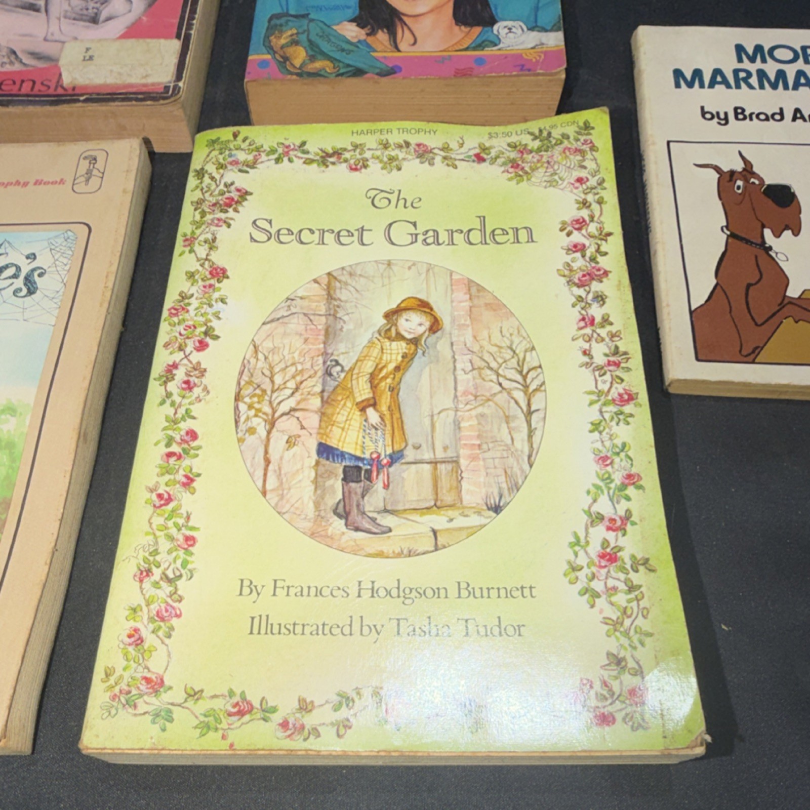 Vintage Children’s Fiction Paperback Lot – Lenski, Blume, White, Burnett, 5 Boo…