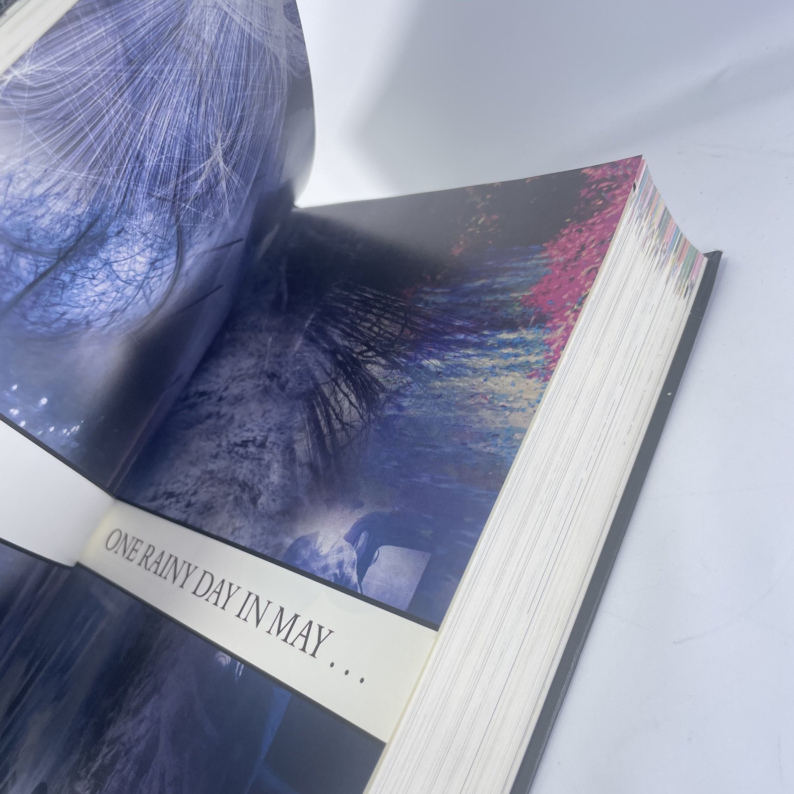 The Familiar Volume 1 One Rainy Day in May Mark Z. Danielewski Thriller Suspense