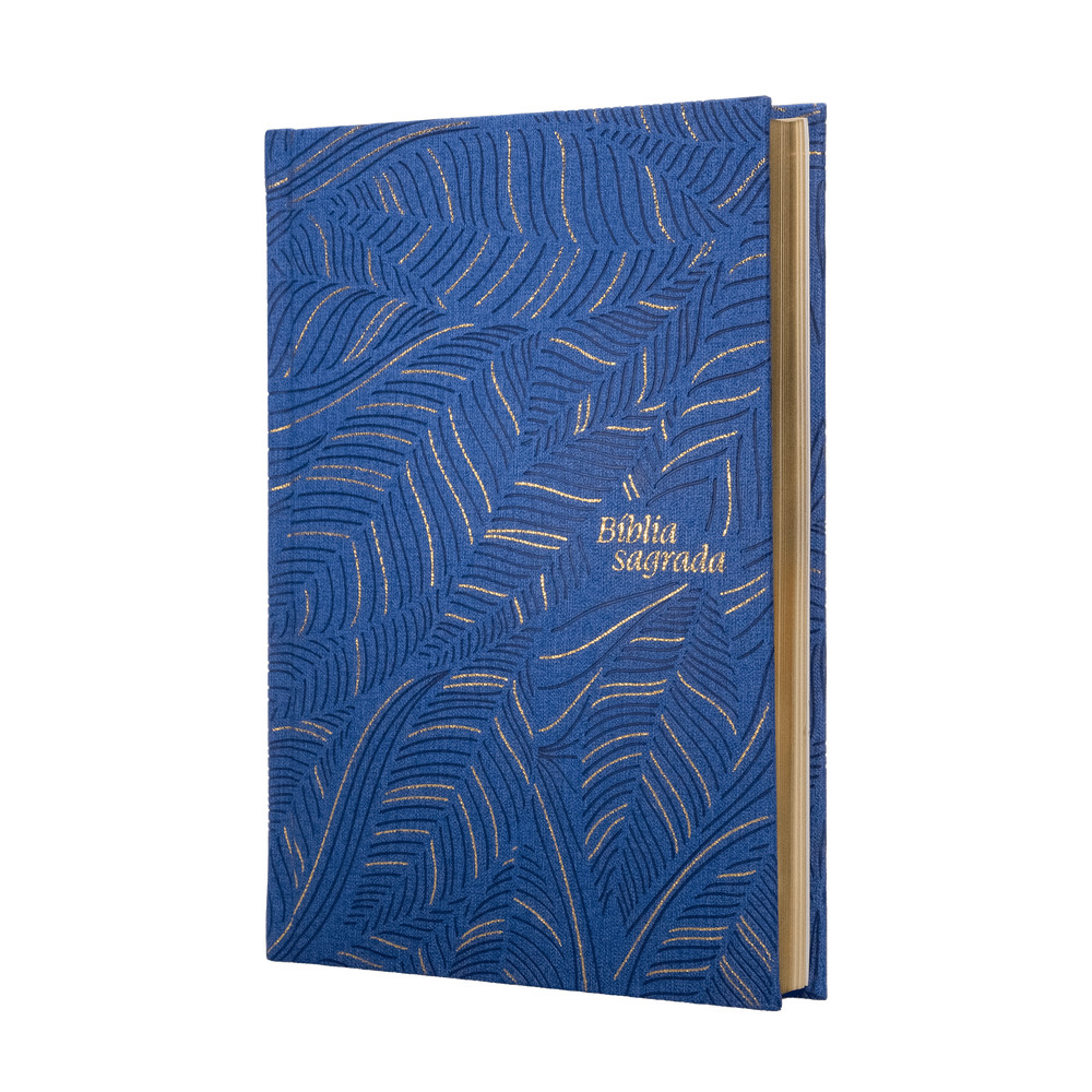 Biblia Sagrada: Abstrata – NVI – Encardenacao: Capa Dura – Letra: Grande