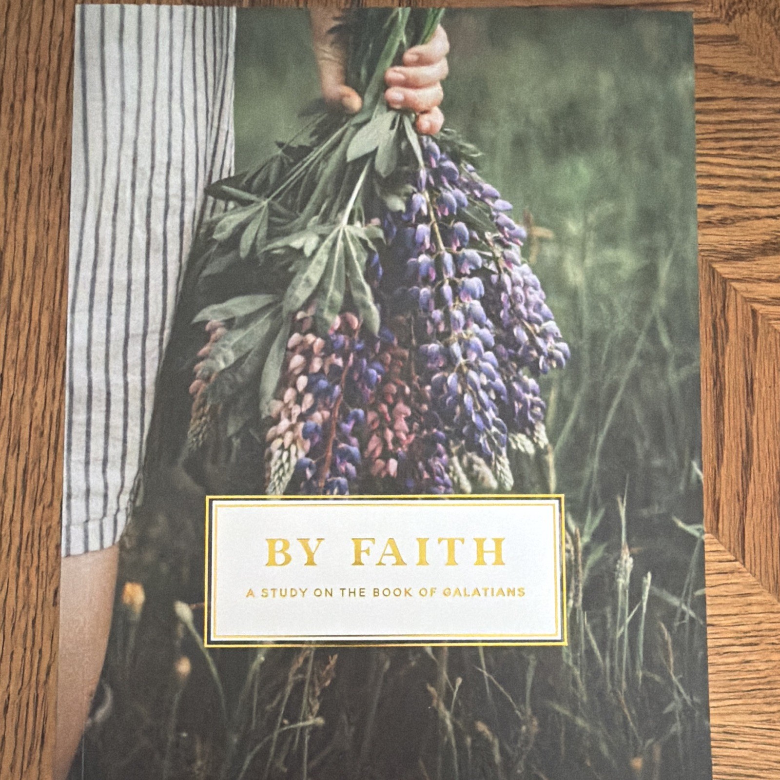 The Daily Grace Co. By Faith Galatians Study Guide Glenna Marshall PB 2019