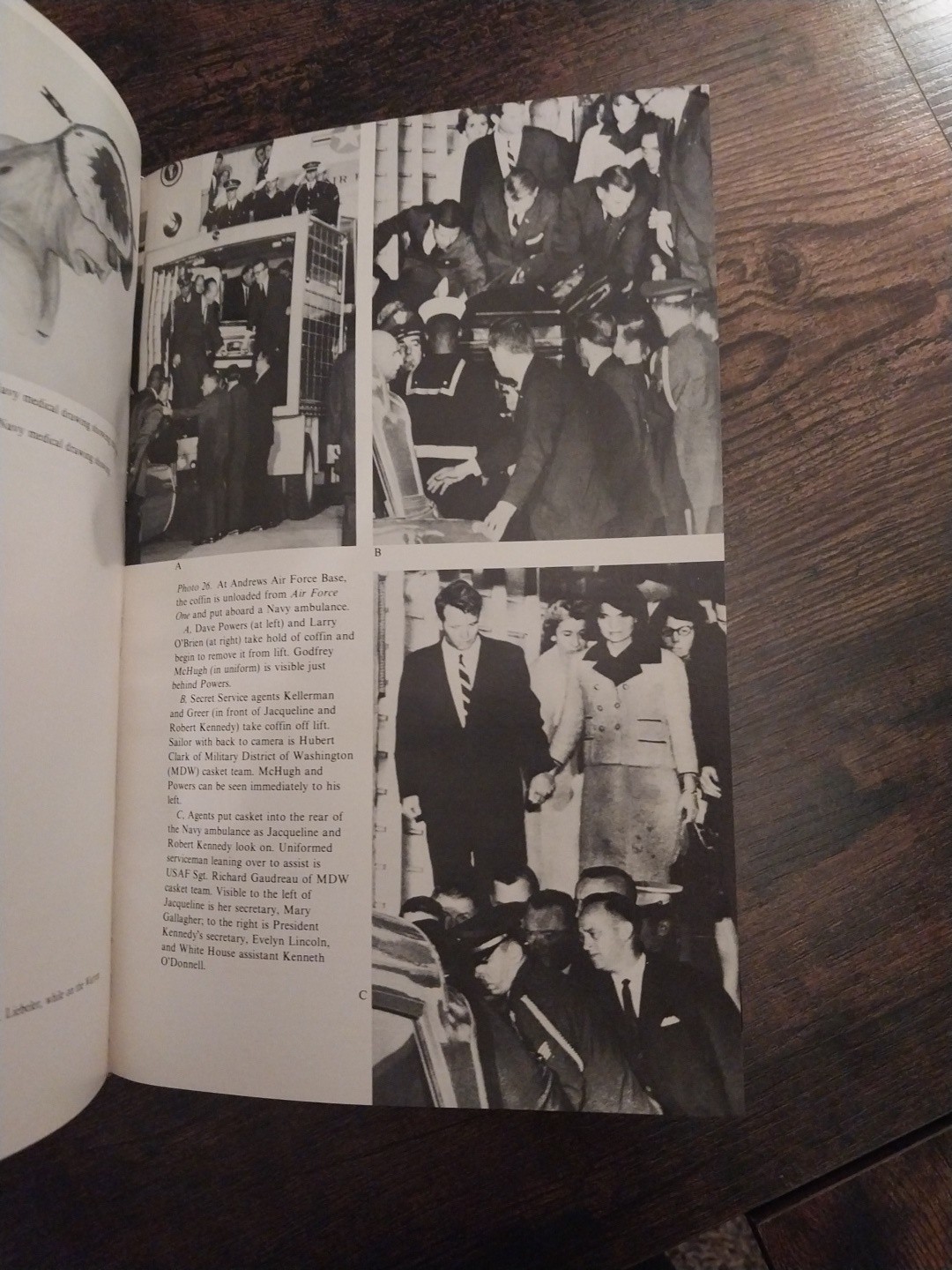 Best Evidence: Disguise and Deception in the Assassination of John F. Kennedy DJ