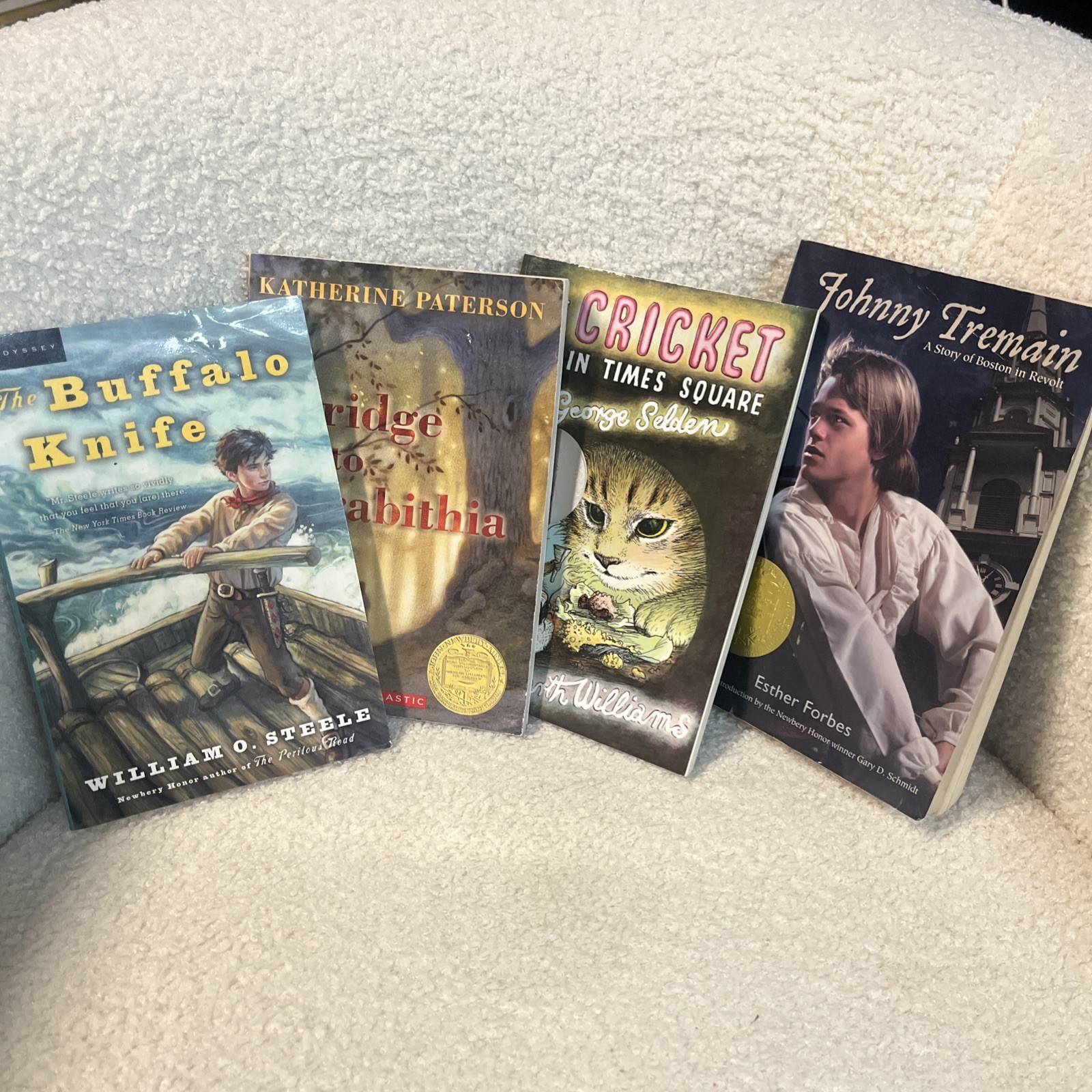 Lot Of 35 Middle Grade Novels Homeschool Newberry Books Set Reading