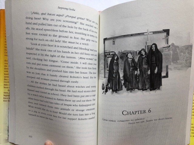 Surprising Cecilia by Denise Gonzales Abraham – Hardcover, all 221 pages clean