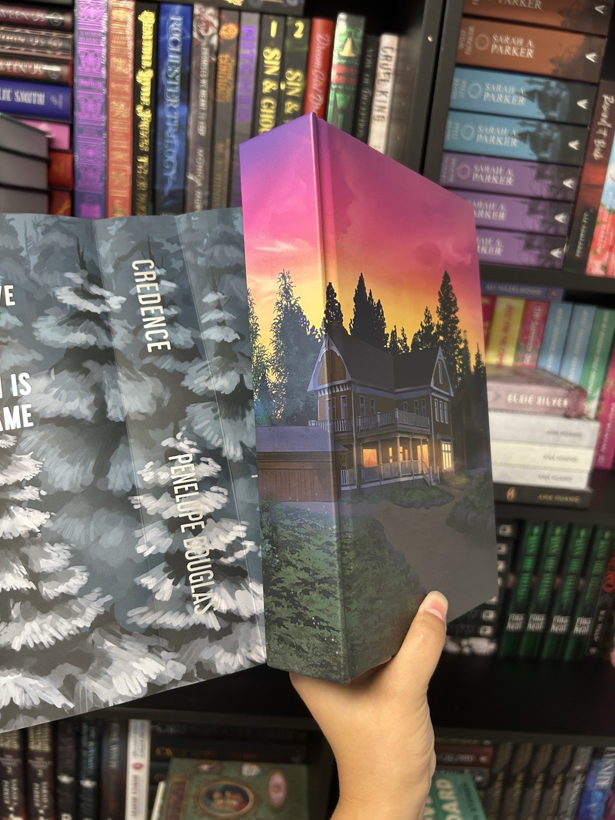 Books For Days Crate CREDENCE Penelope Douglas SPRAYED EDGES + Overlay