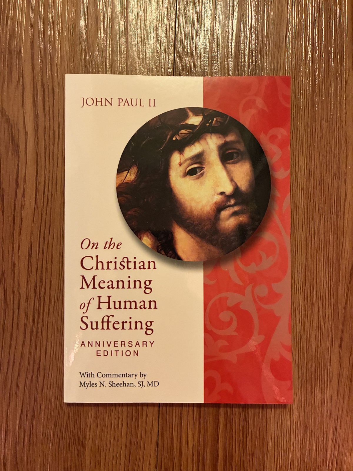 On the Christian Meaning of Human Suffering by Pope John Paul II