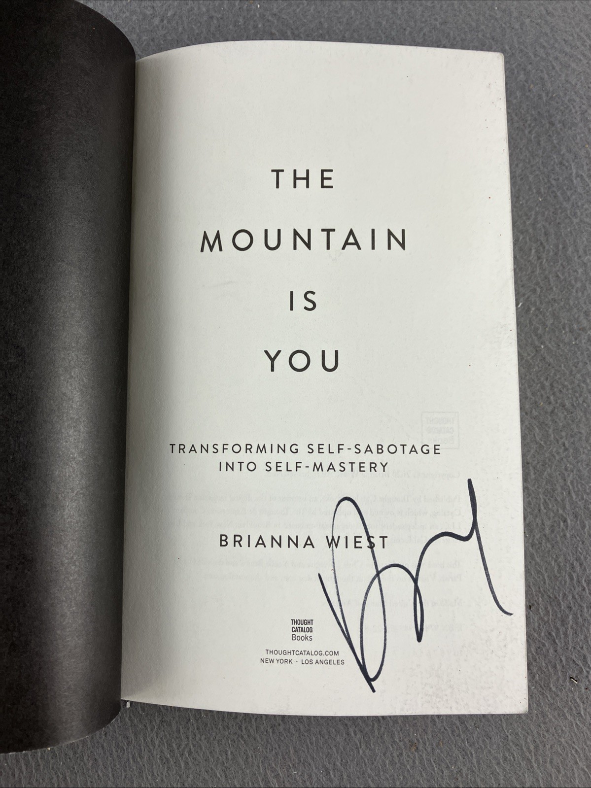 The Mountain Is You: Transforming Self-Sabotage Into Self-Mastery ** SIGNED COPY