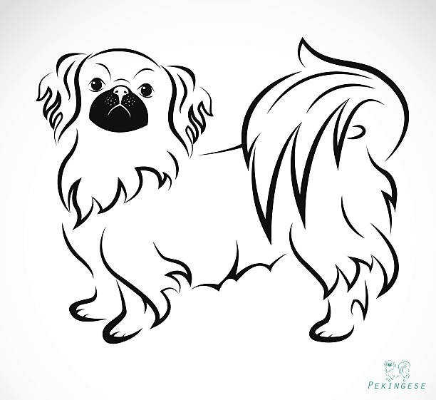 Dogs coloring book for all ages Pets Series 108 Pages 8.5 x 11 for All Ages
