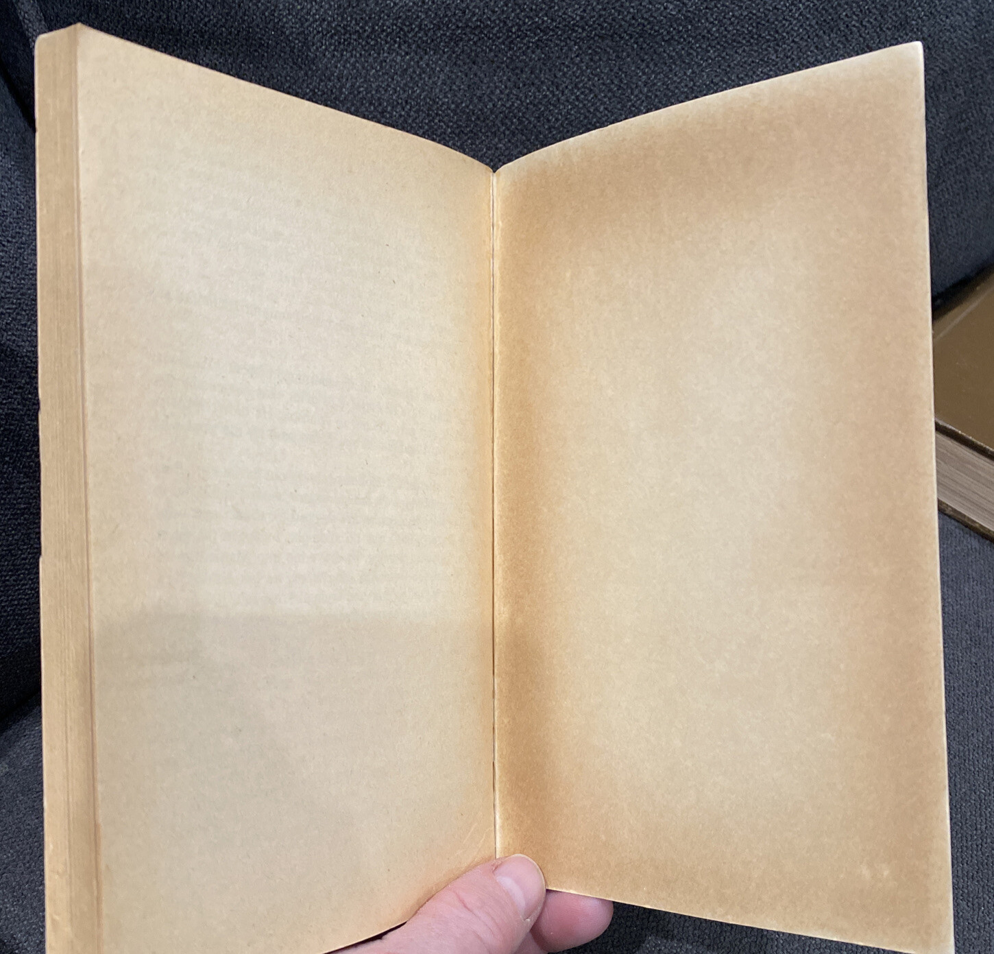 361 by Donald Westlake. RARE 1967 1st Edition Paperback