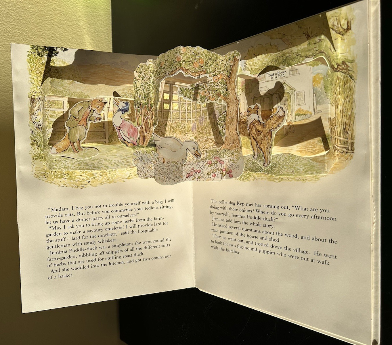 Beatrix Potter THE JEMIMA PUDDLE DUCK POP-UP BOOK Colin Twinn Frederick Warne