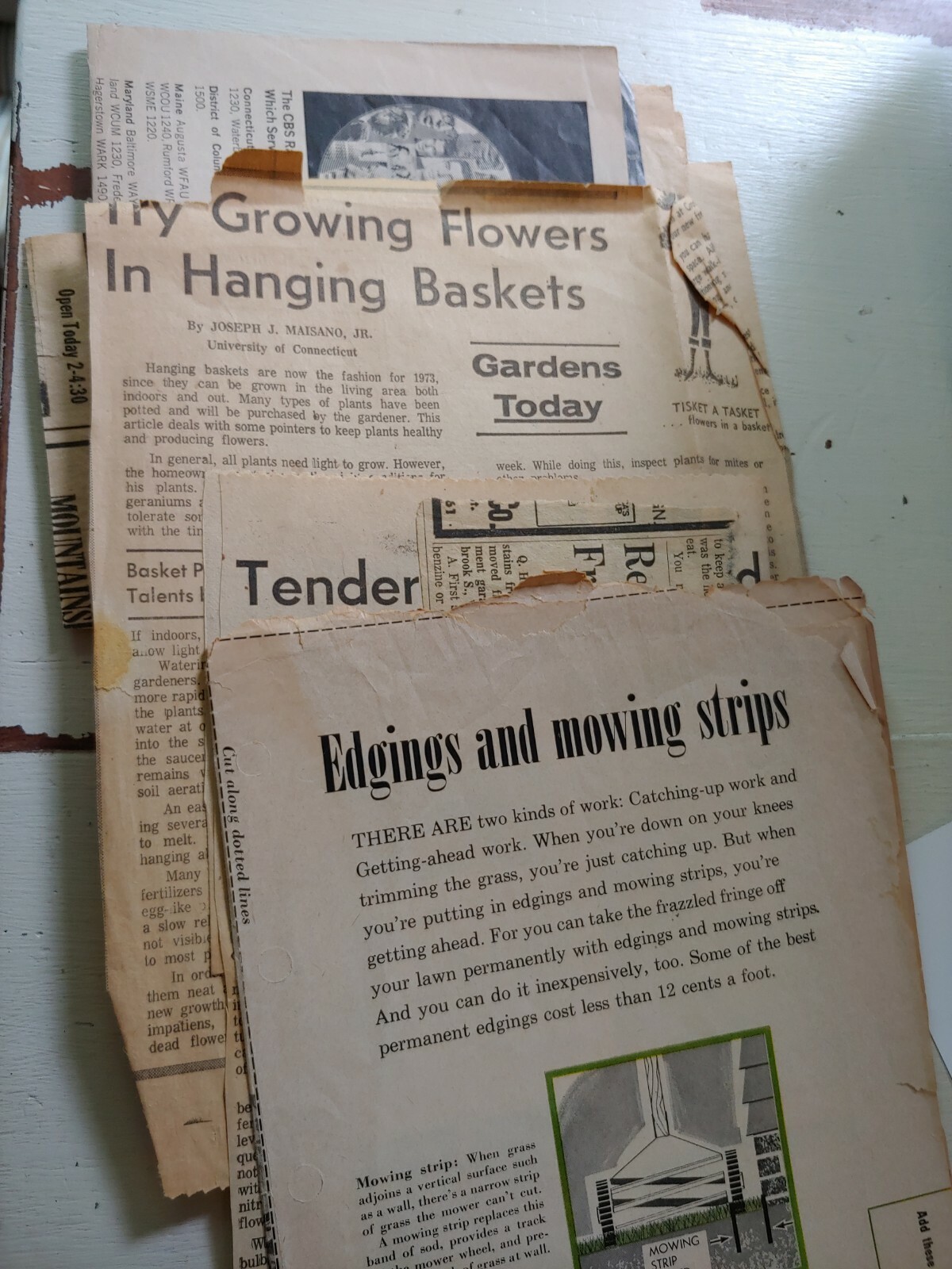 1954 Better Homes and Gardens GARDEN BOOK Meredith Publishing 480 Pages HB