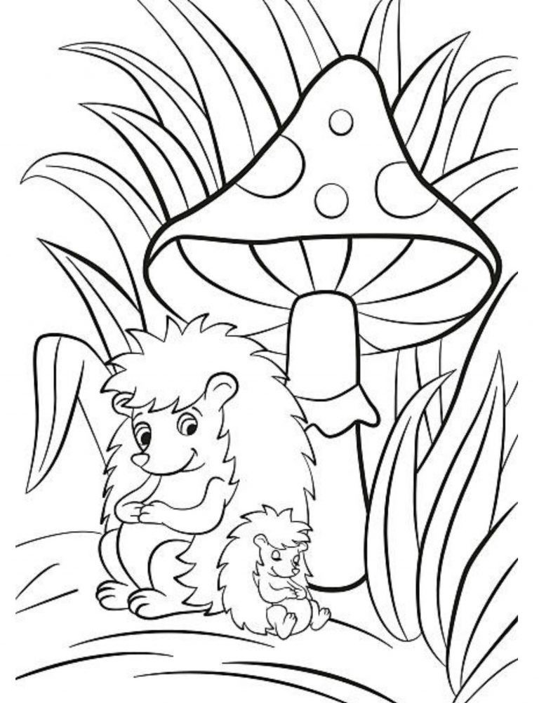 Best Mushroom Coloring Book red cap mushrooms 108 Pages 8.5 x 11 for All Ages
