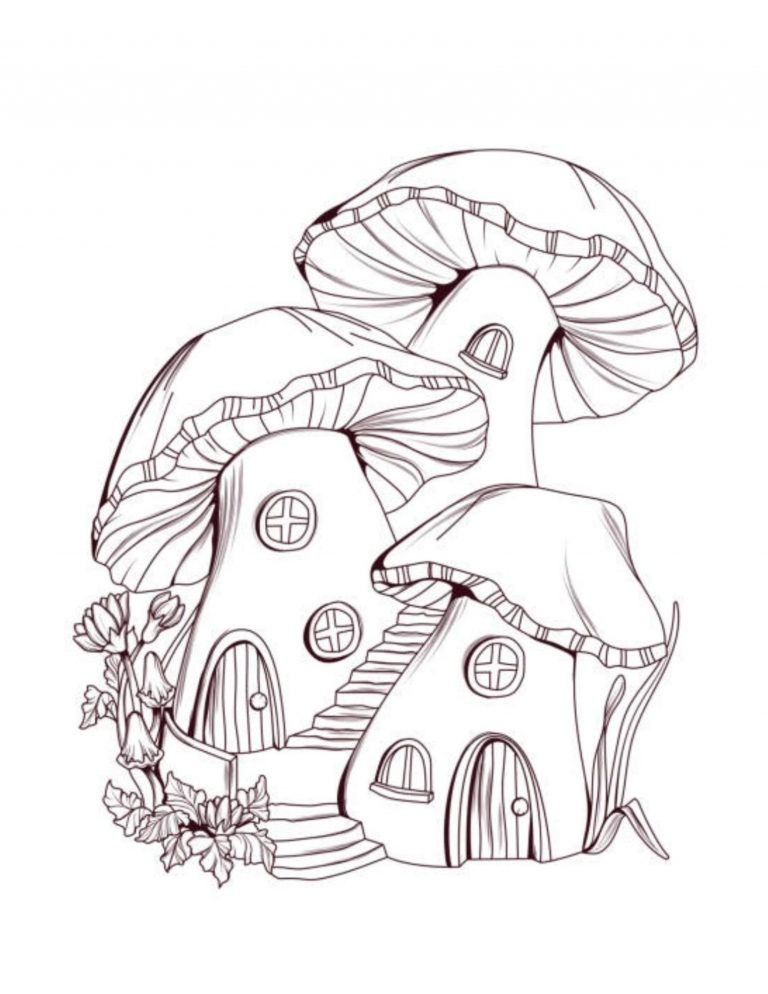 Best Mushroom Coloring Book red cap mushrooms 108 Pages 8.5 x 11 for All Ages