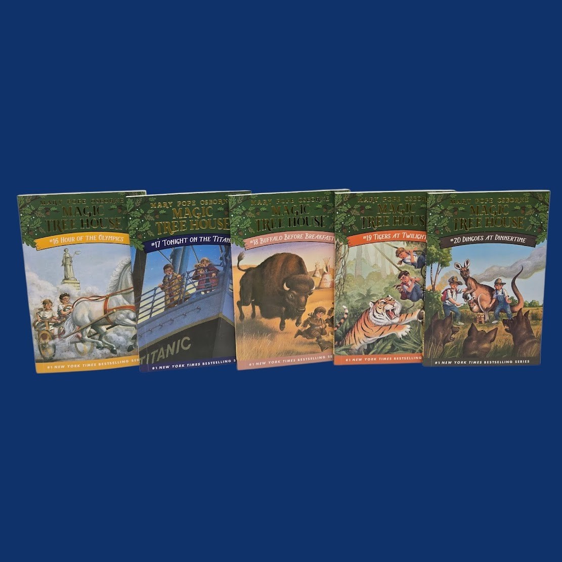 Set 6A: Magic Tree House A Library of Books 1-28 – Mary Pope Osborne Collection