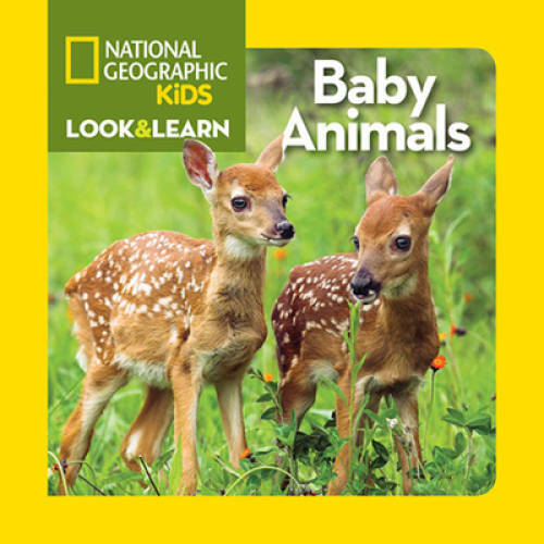 National Geographic Kids Look and Learn: Baby Animals (Look & Learn) – GOOD