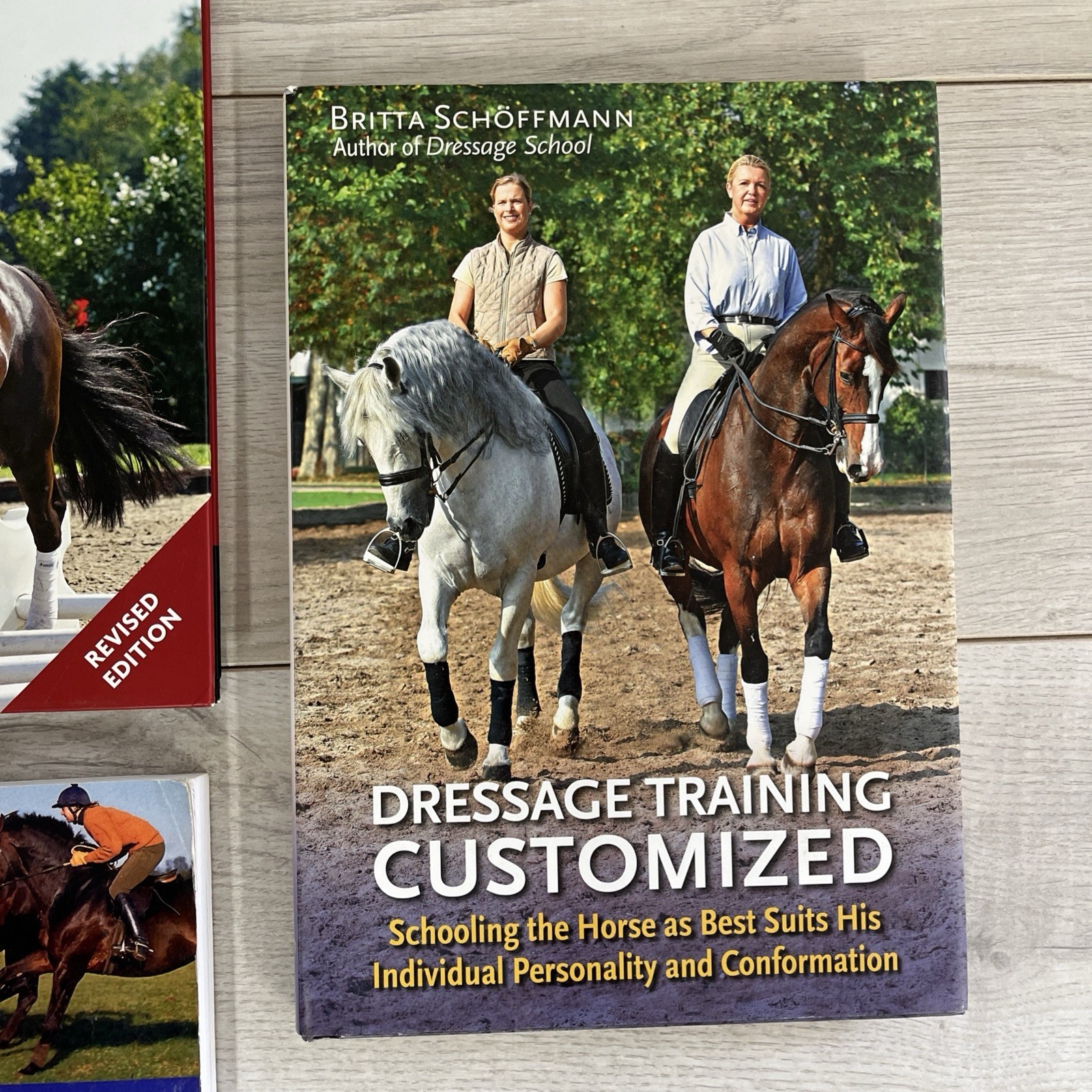 Horse Equestrian Training Lot Of 4 Breaking, Long Reining & Dressing
