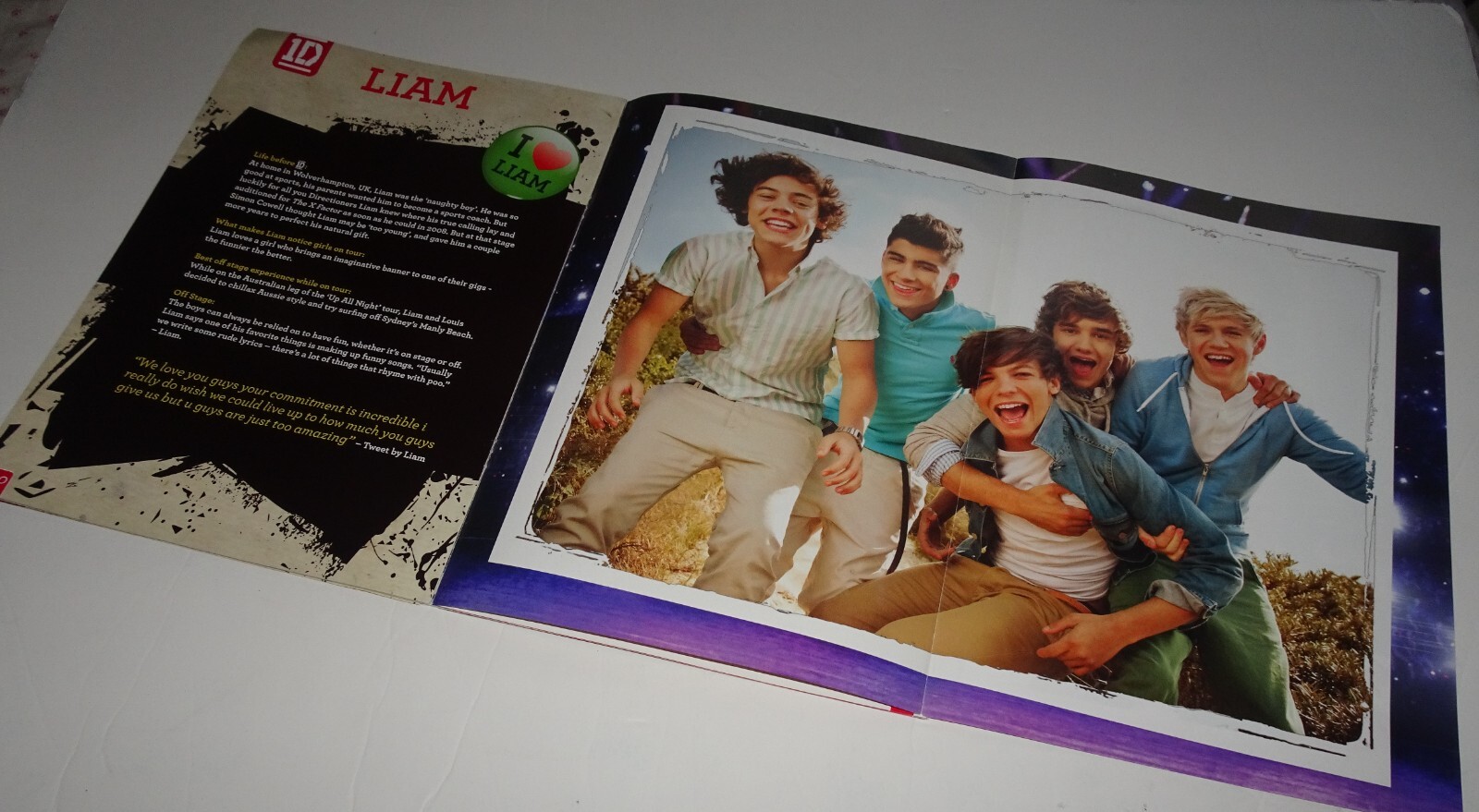 The Official One Direction Special Tour Edition Poster Book LIAM PAYNE R.I.P