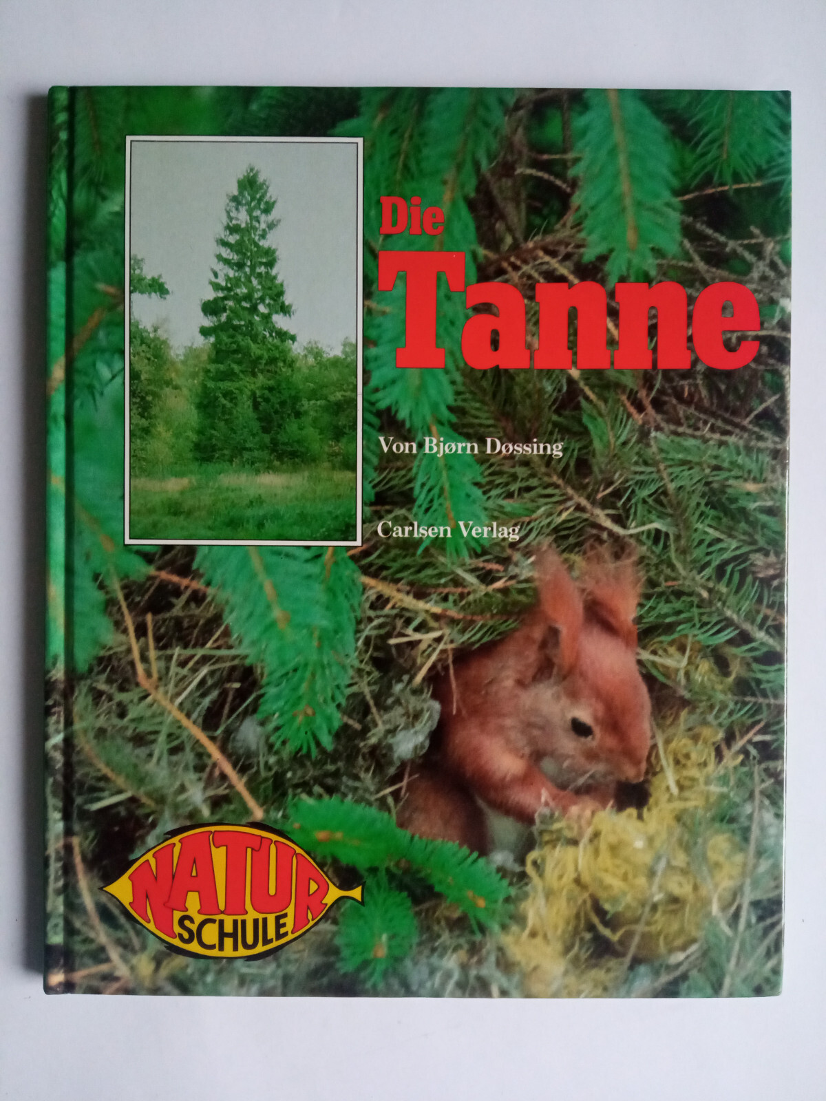 Die Tanne – Bjorn Dossing – Naturschule – Carlsen Verlag – Gebundene Ausgabe