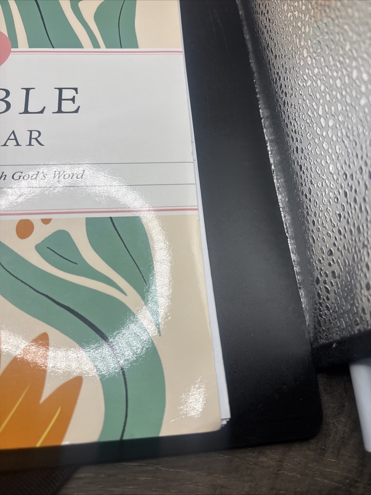 The Bible in a Year Spiral Bound Study Guide 52-Week Journey Through God’s Word