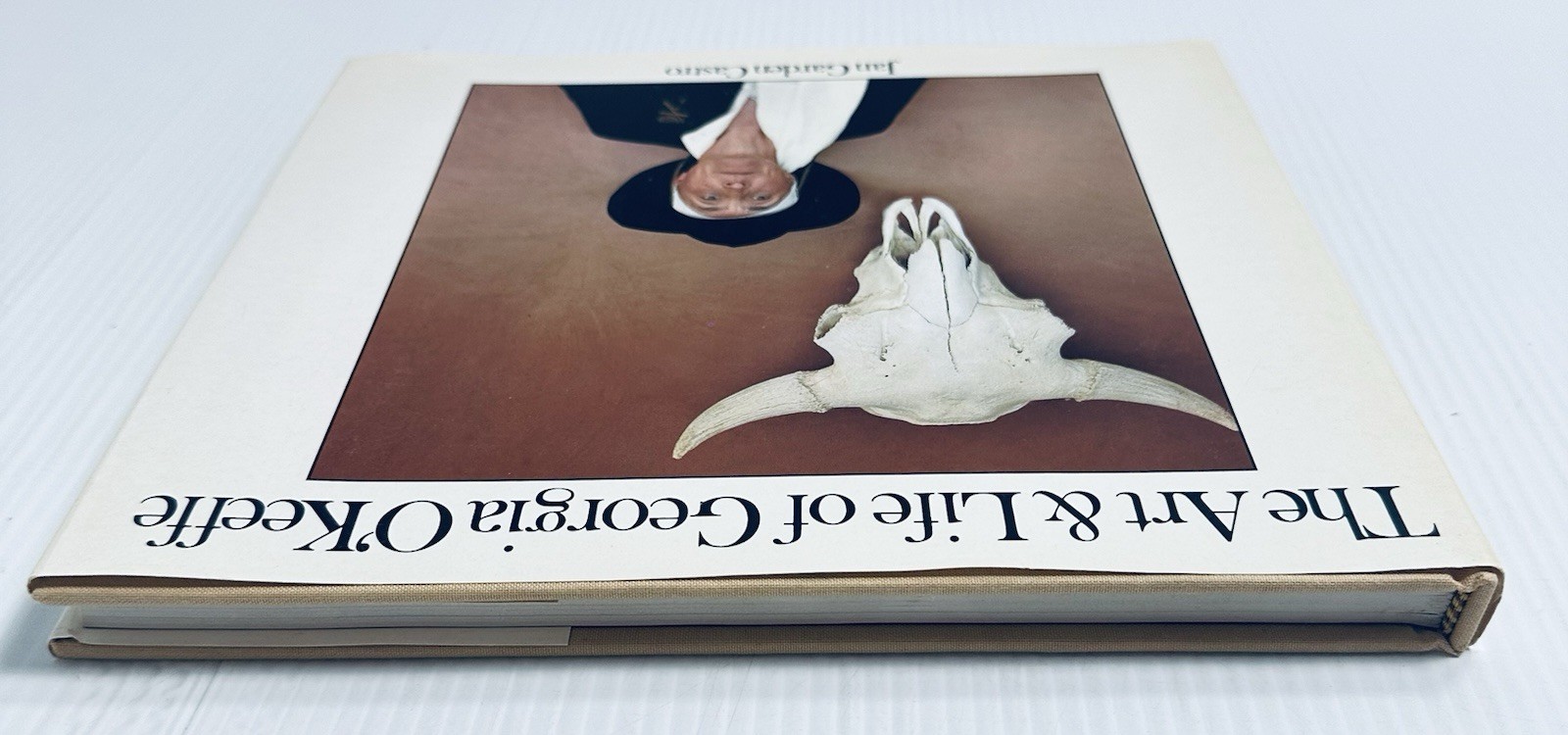 Georgia O Keeffe Art and Life Castro Book with 136 Color Illustrations Edition