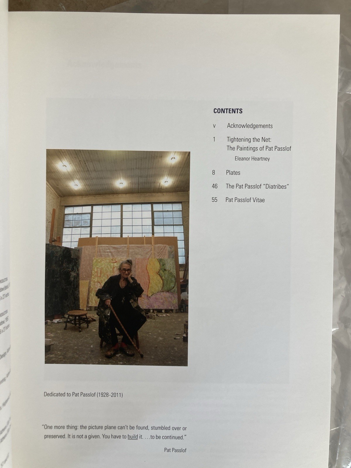 Pat Passlof – Selections 1948-2011 (softbound catalog, good condition)