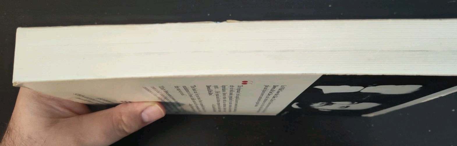 Wild Grows The Lilies – Christy Brown / Trade Paperback Book / Used / 1978