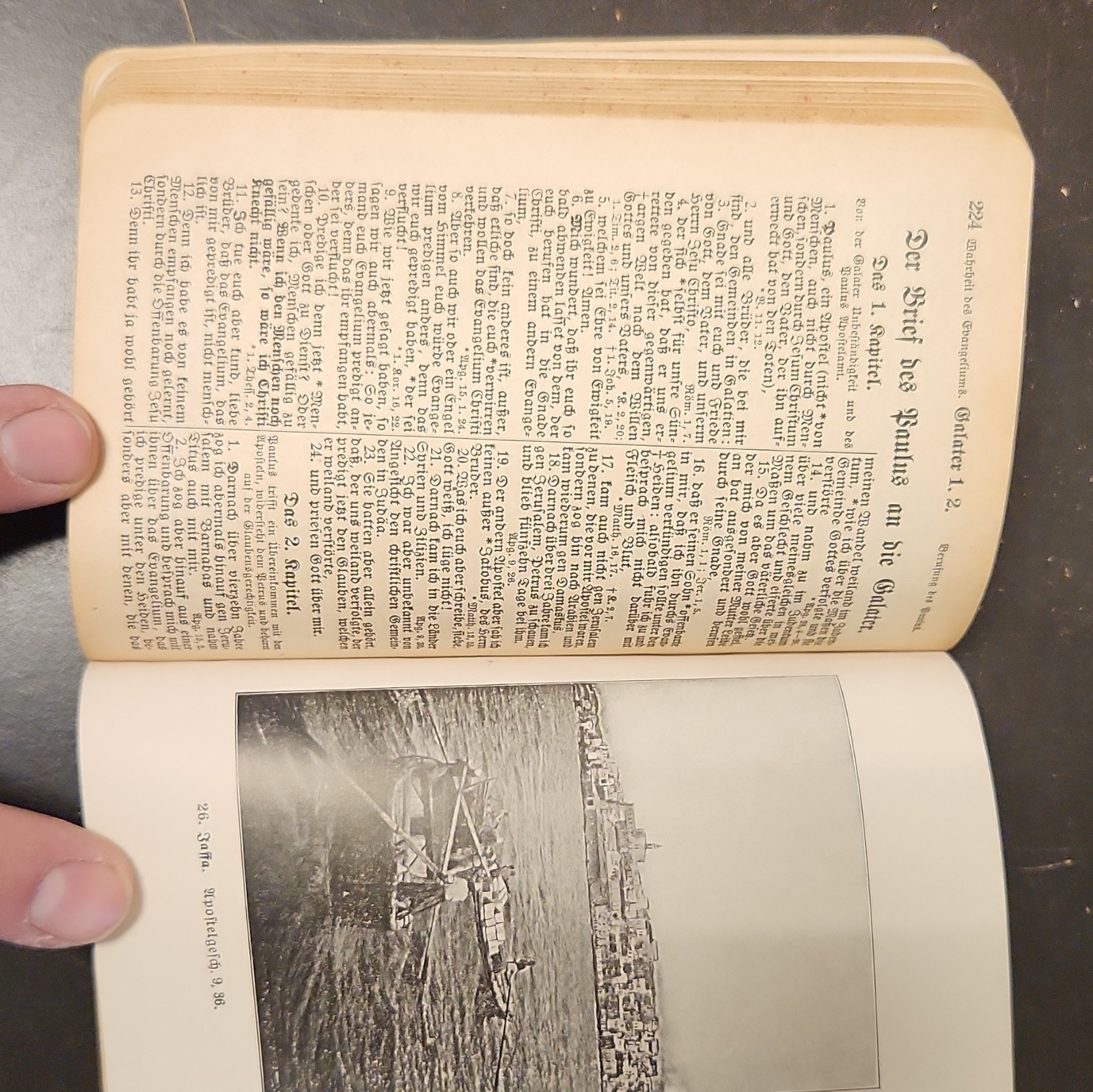 Palästina-Bilder-Testament German Illus Hardcover Luther 1812