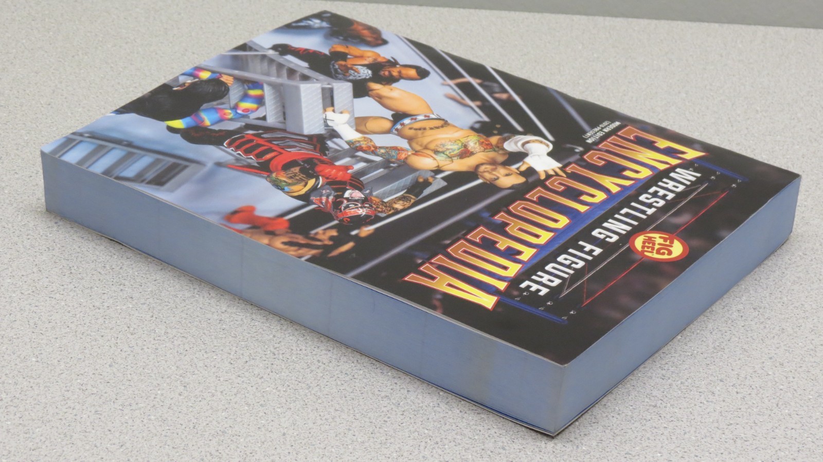 Wrestling Figure Encyclopedia Modern Edition – 2010 to present – Fig Heel 2025