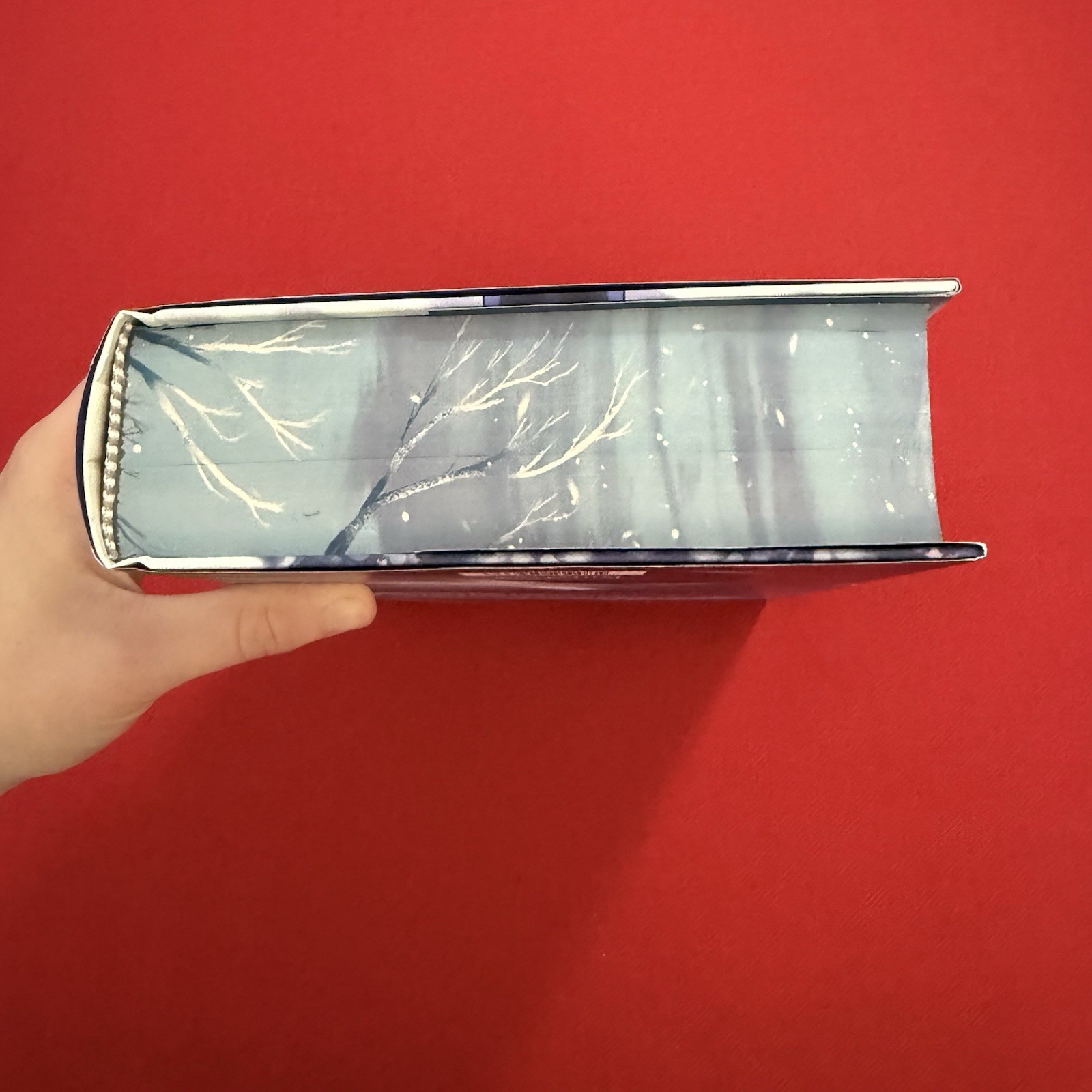 Dire Bound by Sable Sorensen FairyLoot Exclusive Edition – Hardcover Unsigned