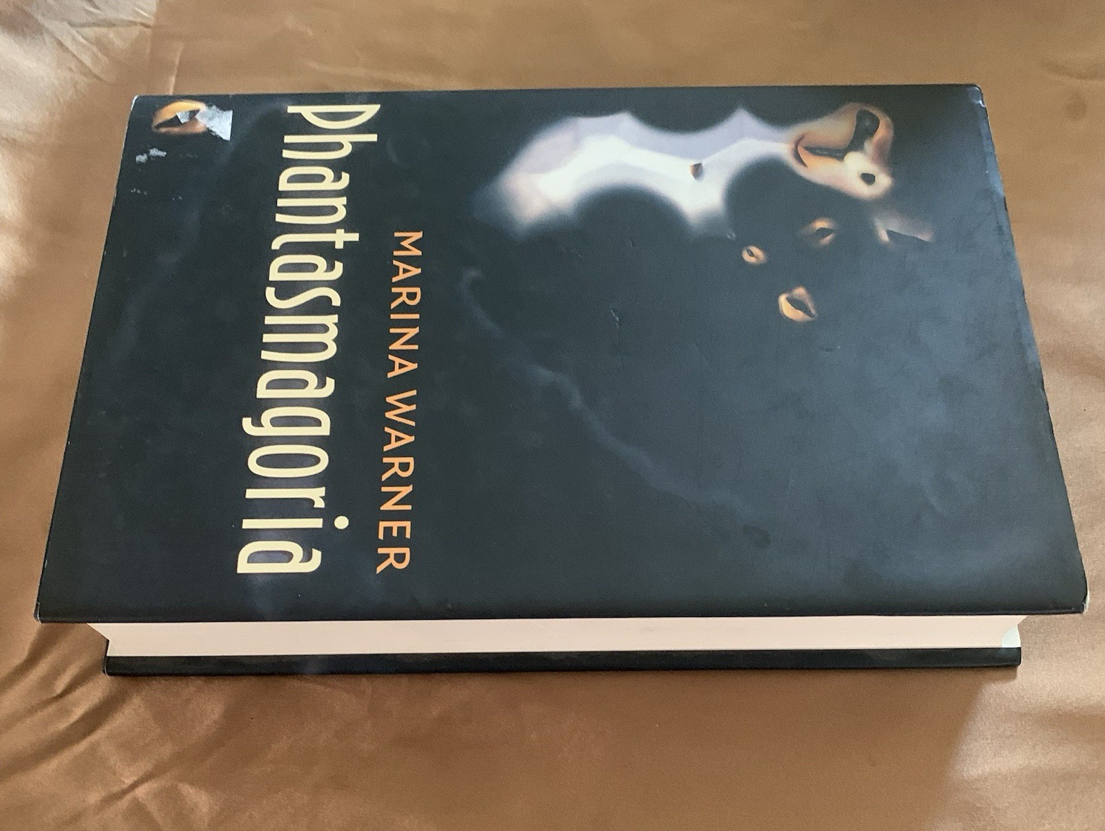 Phantasmagoria : Spirit Visions, Metaphors, and Media into the Twenty-First…