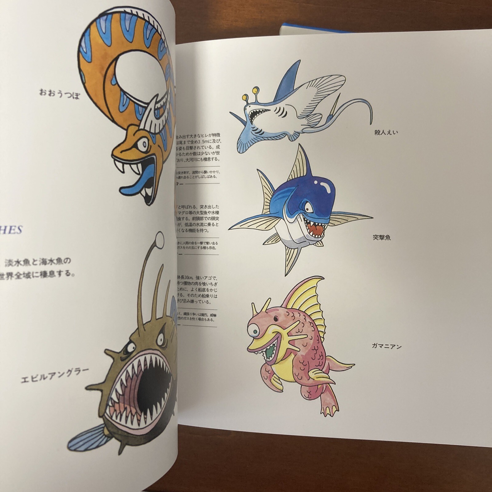 Akira Toriyama Illustrations Dragon Quest Monsters Art Book Set