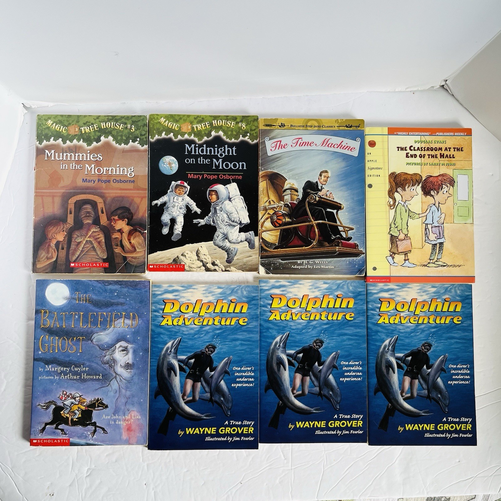 Lot of 10 Chapter Books Mixed Lot 2nd 3rd Grade Fiction Classroom Library Set